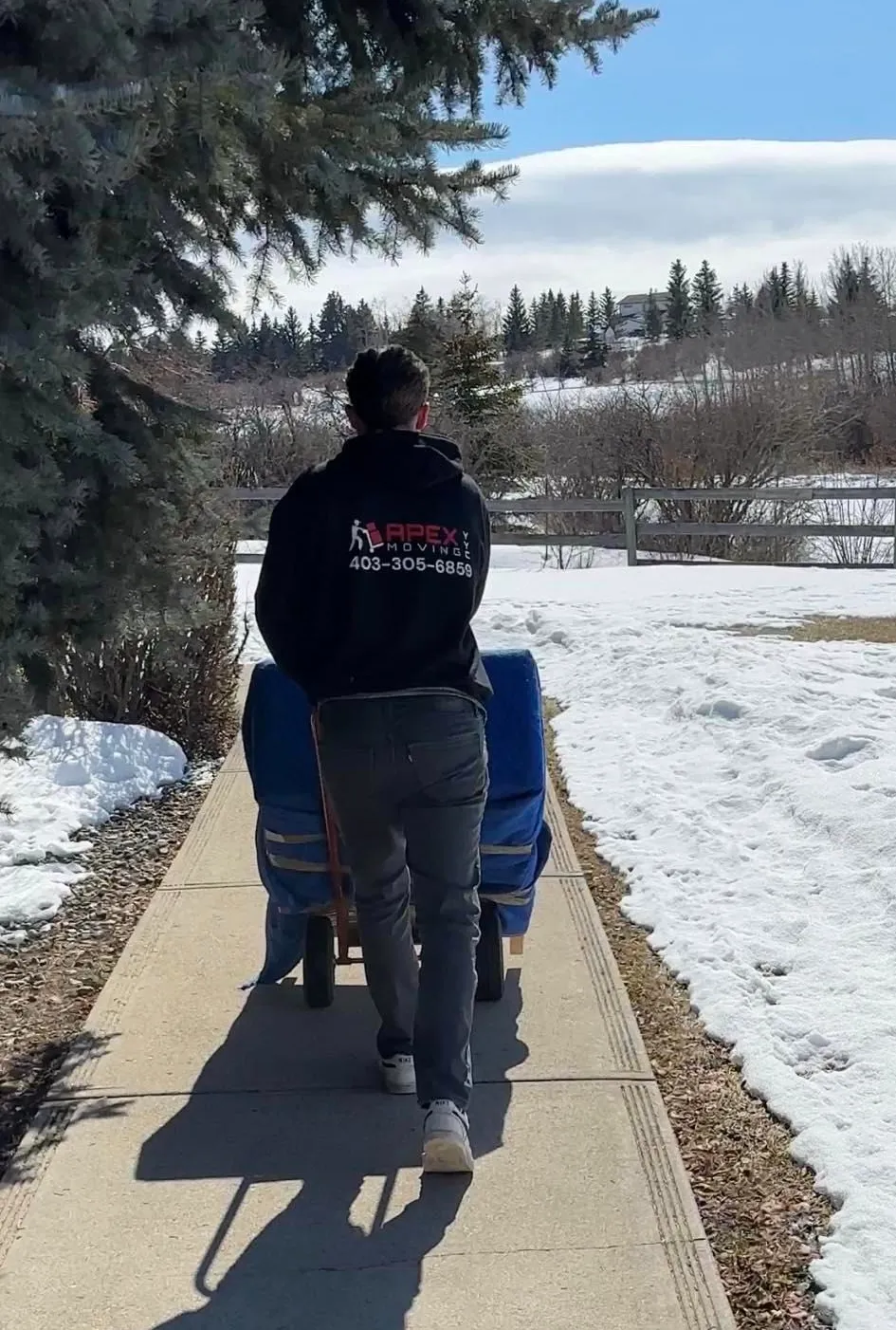 piano moving